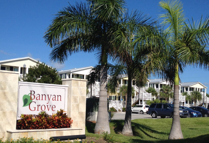 Banyan Grove